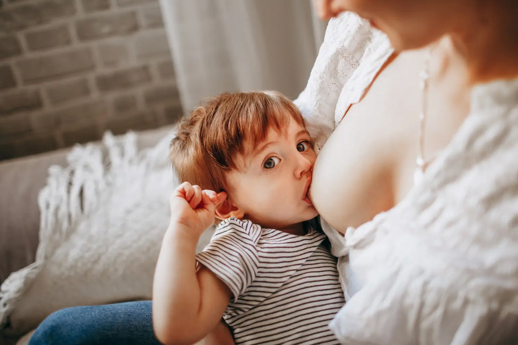 Breastfeeding with Ease: How Cache Coeur Brand Supports Mothers with Tips and Product Recommendations