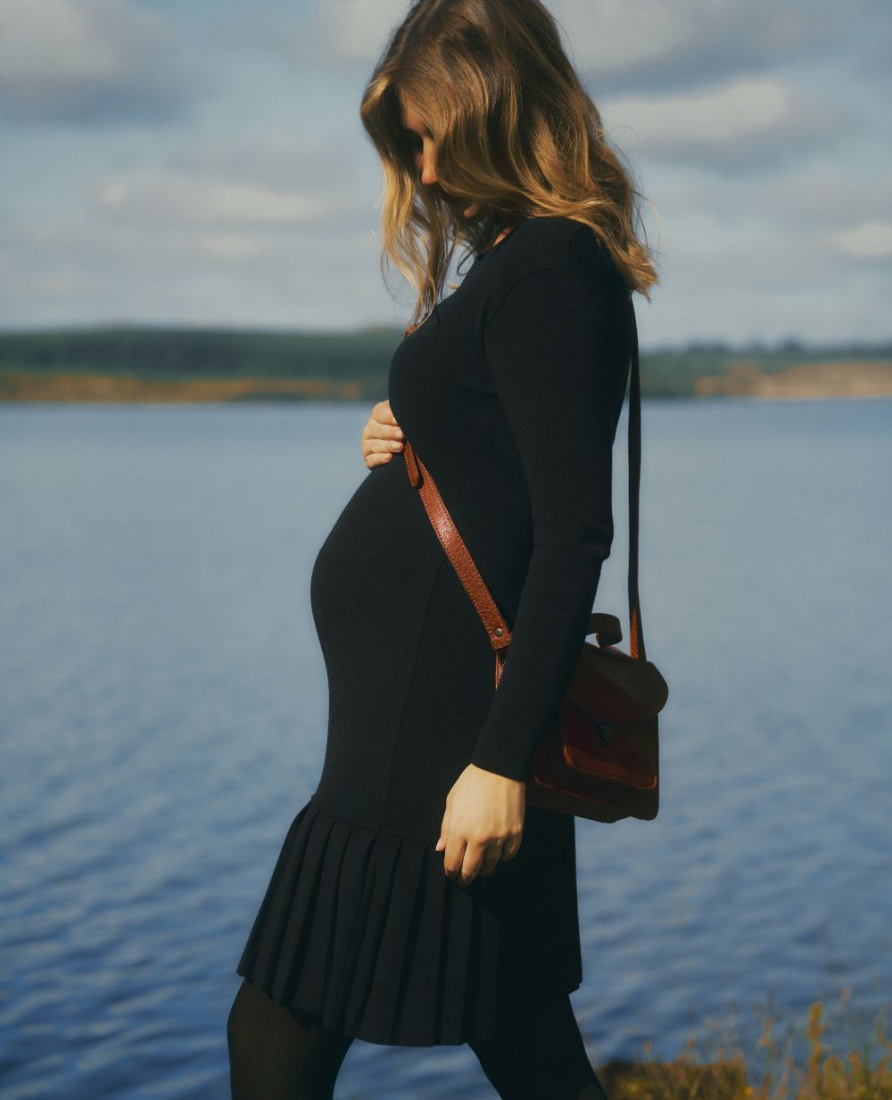 Manhattan Maternity and Nursing Dress