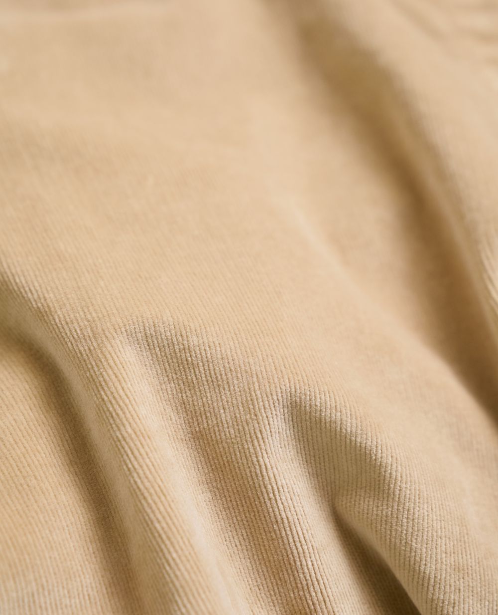 Maternity Pants William Hazelnut